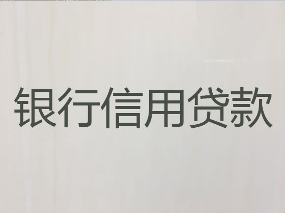 安庆抵押贷款公司-信用贷款